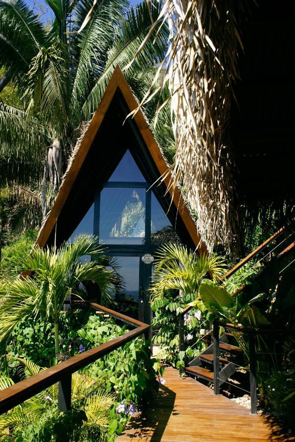 Bohemia Experience Villa Playa Santa Teresa  Dış mekan fotoğraf