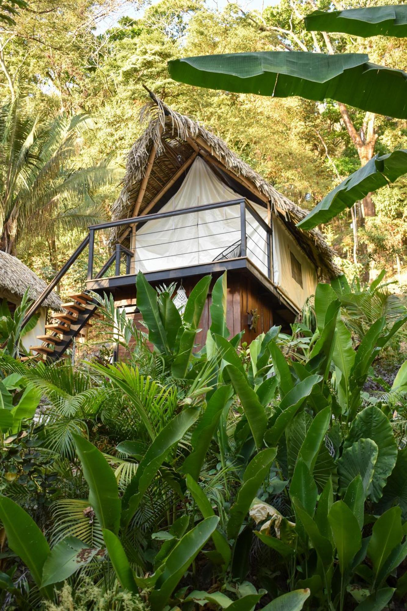 Bohemia Experience Villa Playa Santa Teresa  Dış mekan fotoğraf
